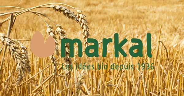 Brown flax seeds Markal 250g | Nagellacke