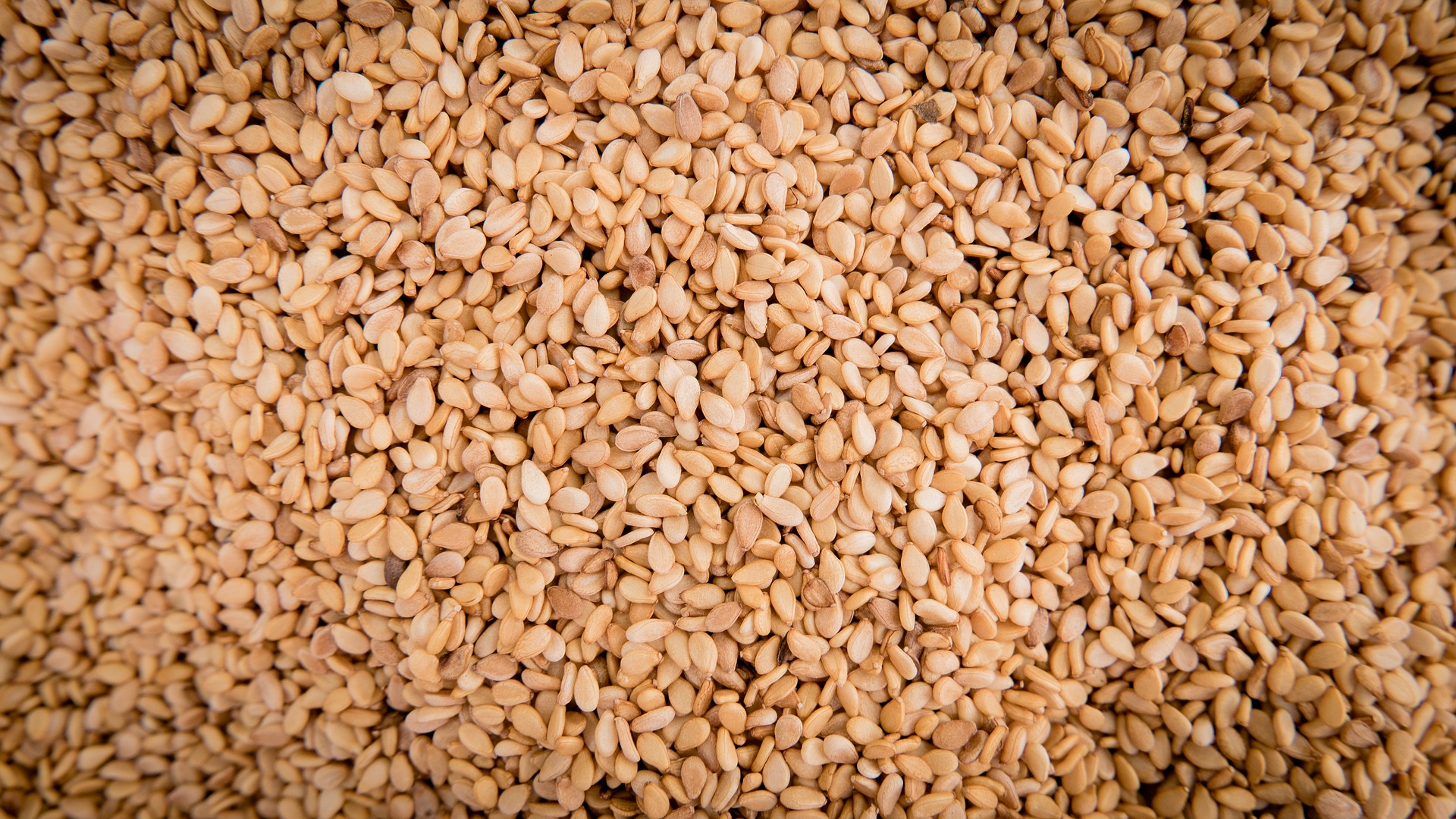 shelled sesame