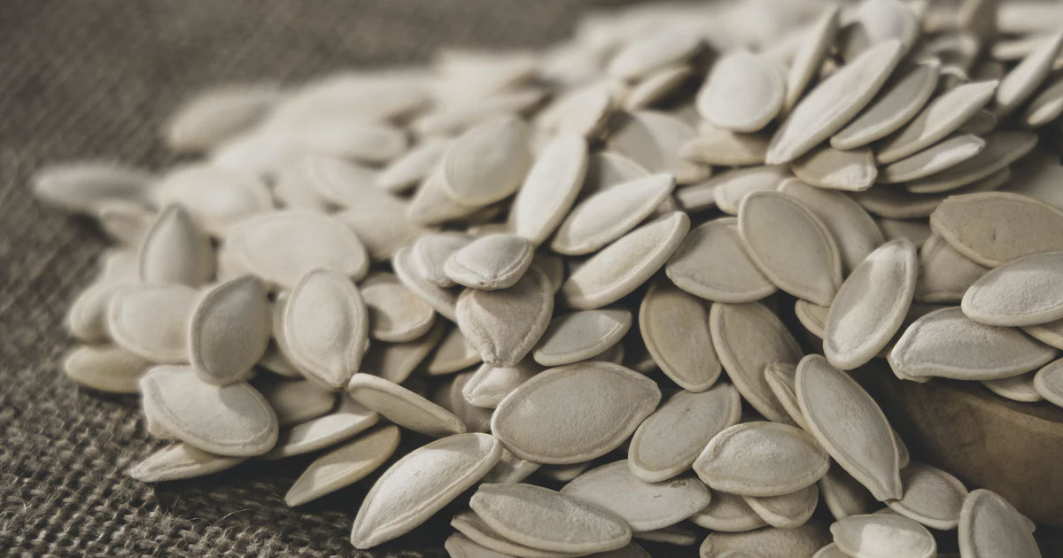 Tartinades aux graines de tournesol (végétalien, vegan) — France  vegetalienne