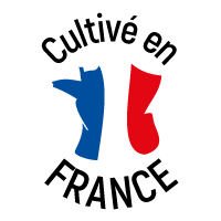 4-Cultive-en-France
