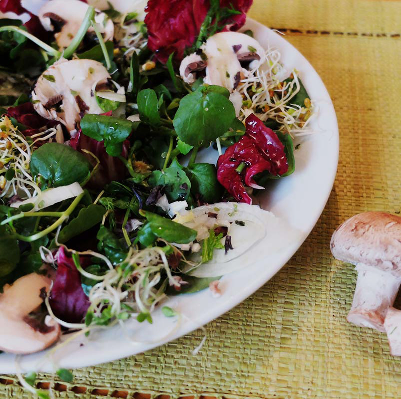 Salade 