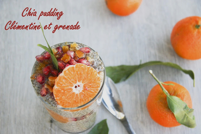 Chia pudding aux clémentines et à la grenade