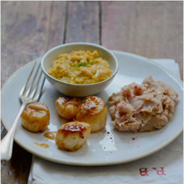 Saint-Jacques poêlées, dal de lentilles et purée pommes de terre framboises