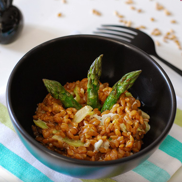 Petit épeautre en risotto