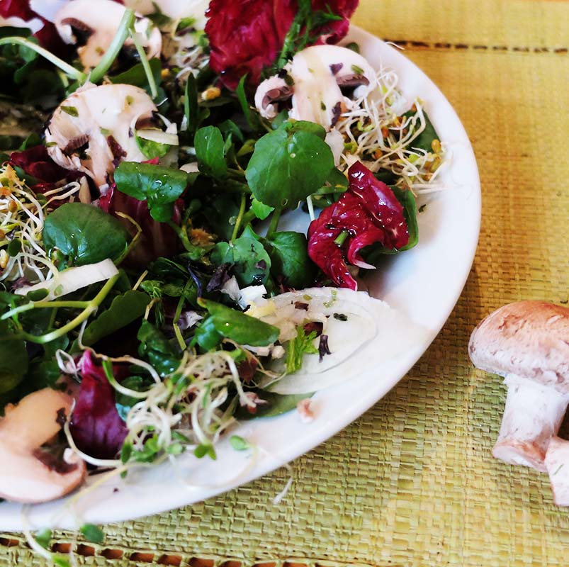 Salade rouge et verte, fenouil et champignons