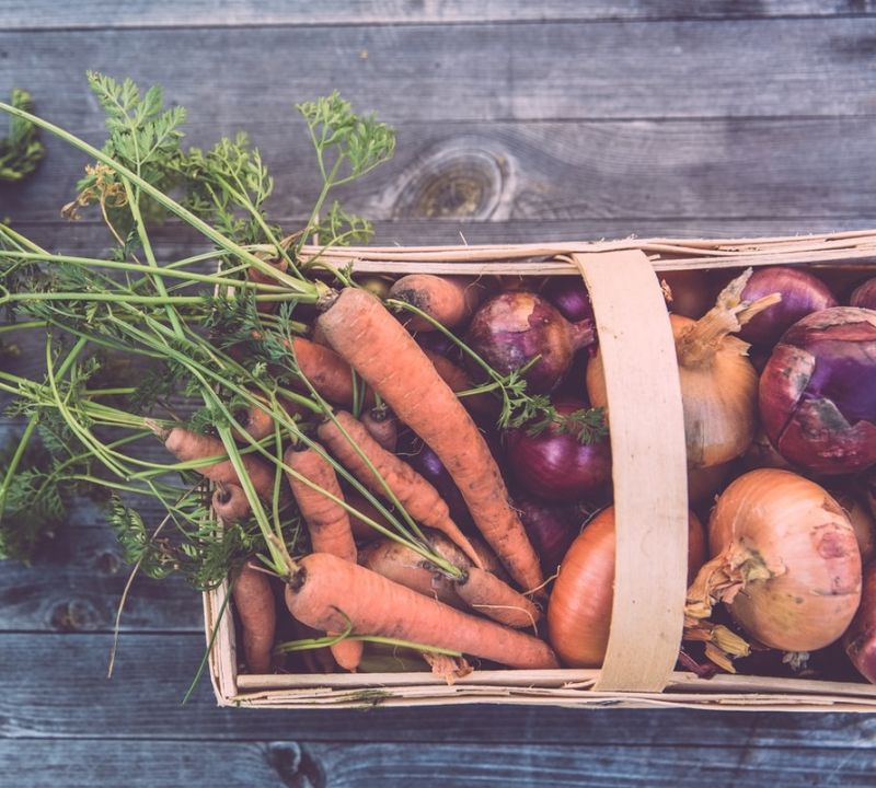 Qu’est-ce que l’alimentation paléo ?