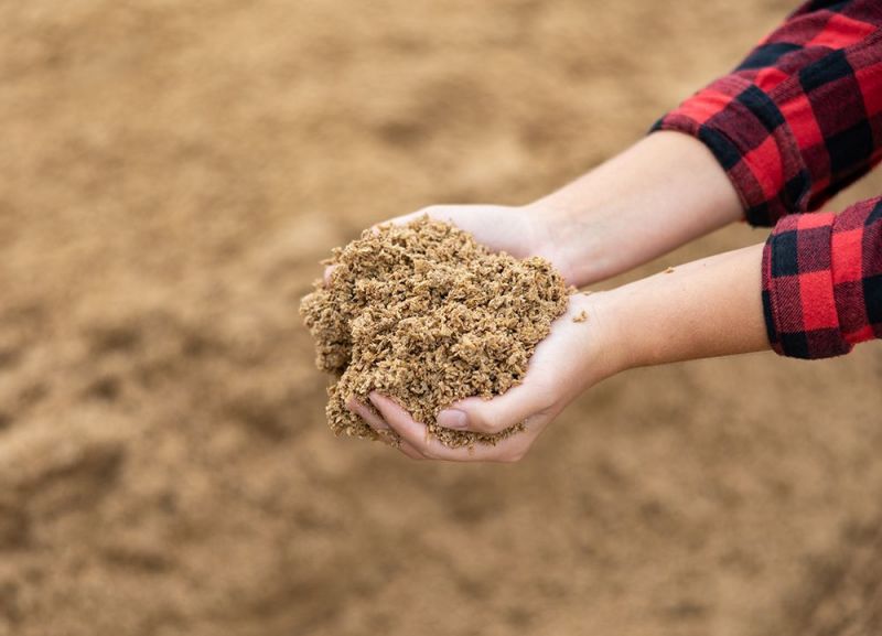 Les drêches transformées en farine, pour un ingrédient riche en valeurs